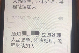 惠阳贷款清欠服务